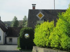 Zurückschneiden von Bäumen und Sträuchern