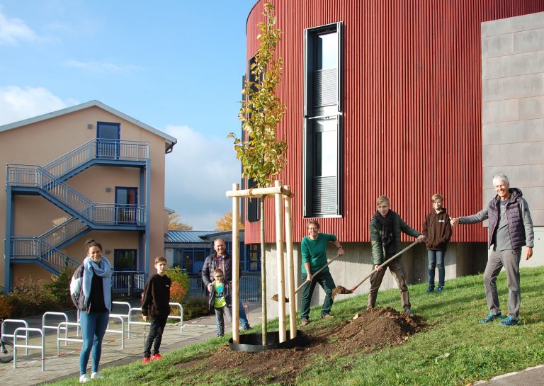 Ulme pflanzen Bücherei Ulme pflanzen Bücherei