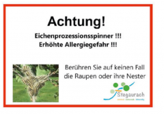 Eichenprozessionsspinner 2021