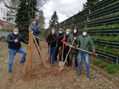 Jugendparlament Baumpflanzaktion 2021