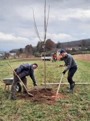 Agenda 21 Obstbaum pflanzen
