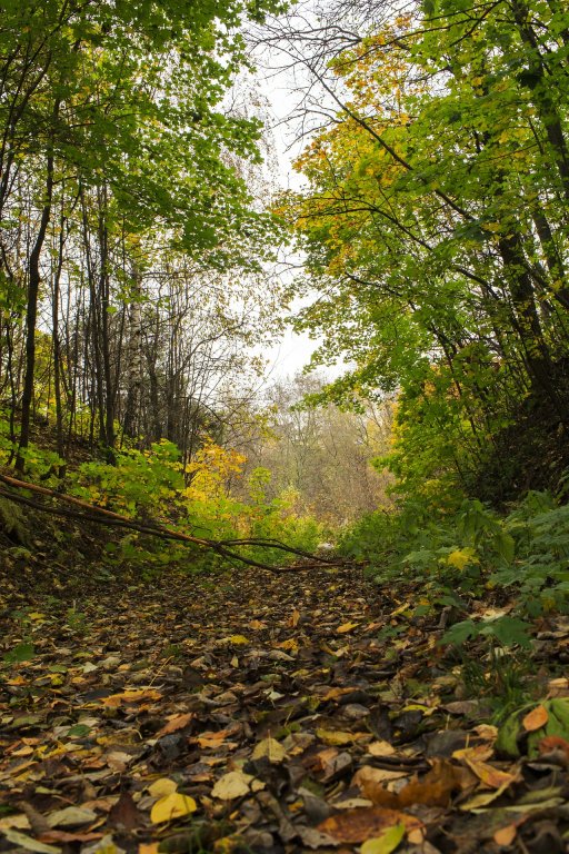 Herbsferienprogramm 2021 Herbsferienprogramm 2021